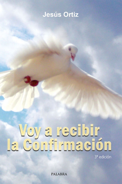 Imagen de Voy a recibir la Confirmación