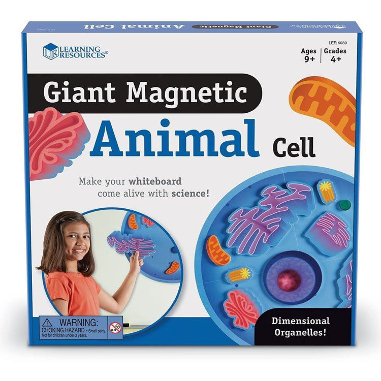 Imagen de Célula animal imantada