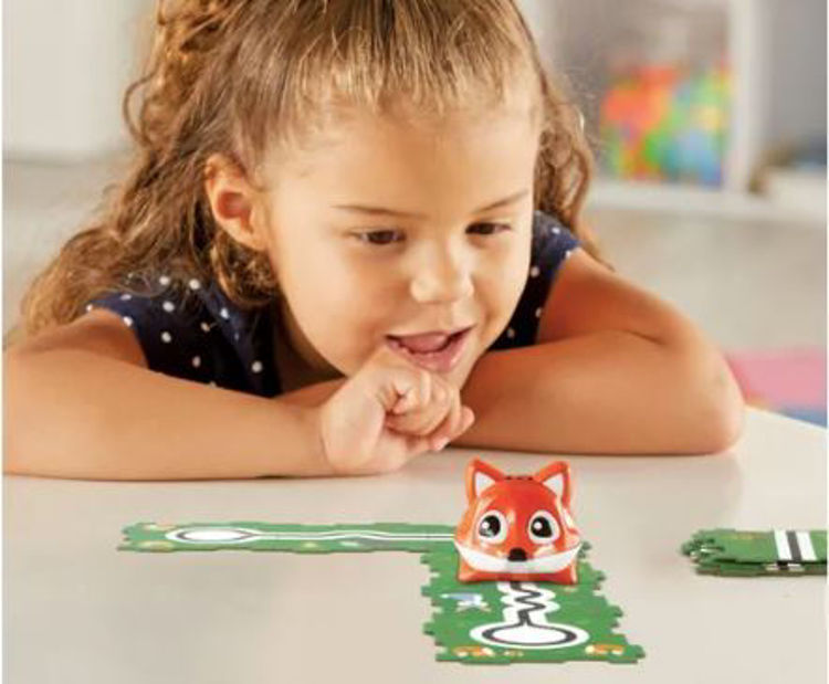 Imagen de ZORRO BLACK LINE - CODING CRITTERS