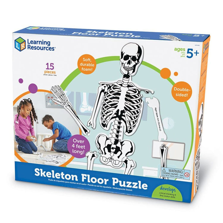 Imagen de Esqueleto - puzzle de piso