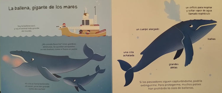Imagen de Animales que proteger