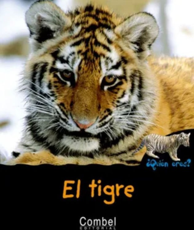Imagen de El tigre. Quién eres?