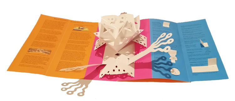 Imagen de Los elementos del pop-up