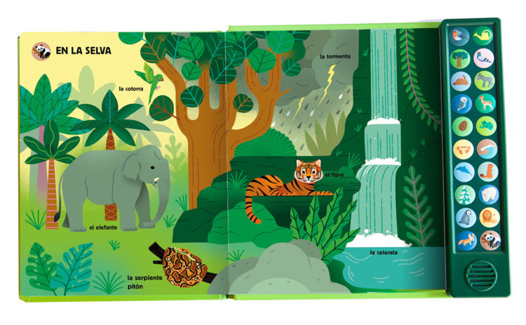 Imagen de La naturaleza y yo. Mi imaginario sonoro