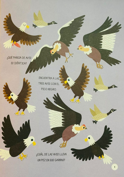 Imagen de Mi primer libro. Busca y encuentra