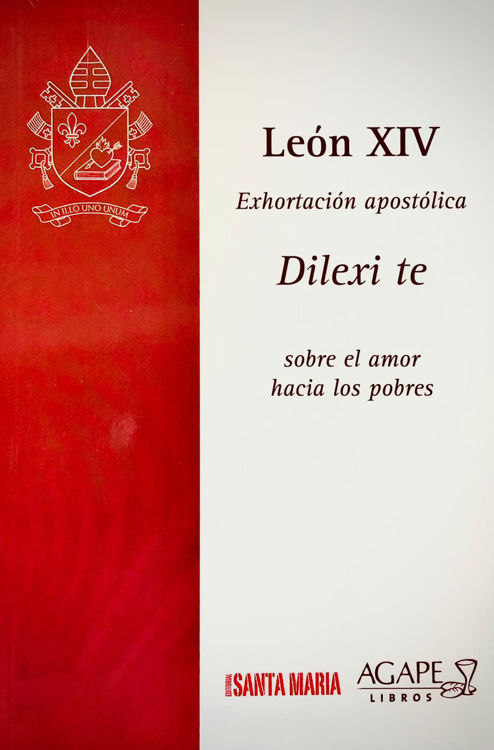 Imagen de Dilexi te. Sobre el amor hacia los pobres